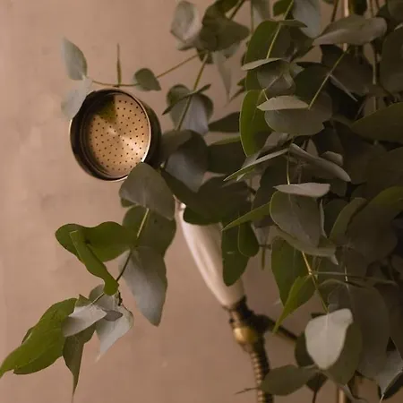 شقة Vendome Parisian Elegance With A Patio